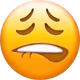 hammychez