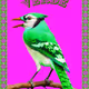 BlueJays2