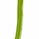 FagioliniMagic