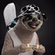 SimonBohlin