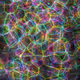 ScienceMaze