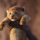 simba05