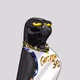 BasketballJones