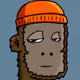 TheBox2050