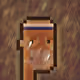 wiltontan