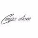 Carpe_diem999