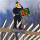 Pilgore