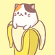 miooof