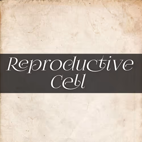 OpenSea profile picture for @REPRODUCTIVE