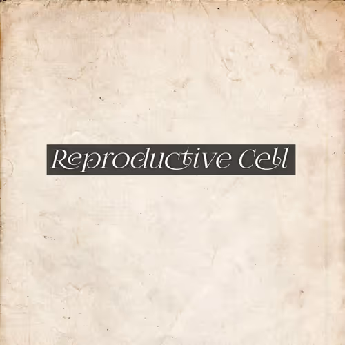 OpenSea banner for @REPRODUCTIVE