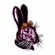 SteamBunnie