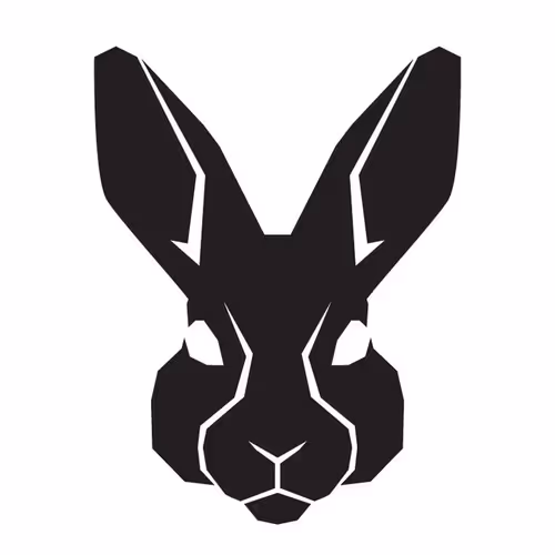 OpenSea profile picture for @Rahl