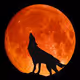 BlockChainWolfie
