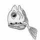 theseafoodgallery