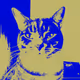 ColourCatsNFT