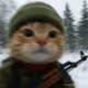 cattycatsss