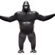 cryptomonkies