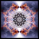 0xe1b9f40cbd6bf93bb3f9dbd13a200ff744893716