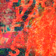 0xe1bc33dcd22661ac9ab3cace5d701f059afdd9fe