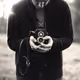 ijsevendestroffik0