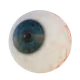 0xSK