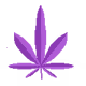 s_l_e_e_p_y