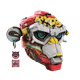 Poor-Degen