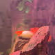 Cryptoguppy57