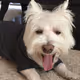Reggie88