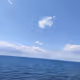0xe27e2a0782597b950c09d943f5b4f5124b73133a