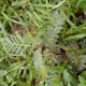 Nature_Project