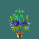 0xe2b9ba1564e14908dc279a775fecf1256b9a93e9