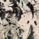 vai786_81