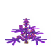0xe2e4b5d37046cab79a6641e5f5f767f07e494927
