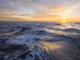 OpenSea banner for @Empirical