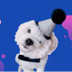 TheCryptoPet