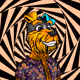Rupypy