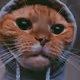 itsrikie