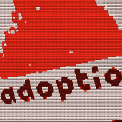 OpenSea profile picture for @Adoption