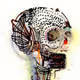 0xe32d17fba830887a5d050ab1e6a2262d11d36eca