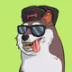BokChoy777