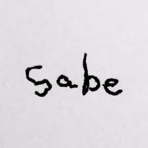 OpenSea profile picture for @Sabe
