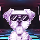 Cryptostzigzi