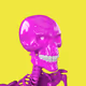 SkeletonLabs