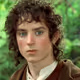 FrodoBolson