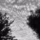 D_Vincent_Ruggiero