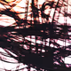 mew_psd