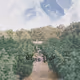 topsp1n_flipnftbot