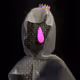 flexkia