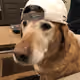 SpooneyDrake22